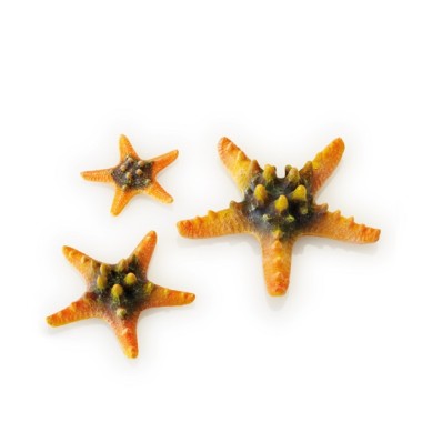Желтые морские звезды 3 шт. (Starfish set 3 yellow)