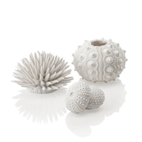 Набор морских ежей белый (Sea urchins set white)