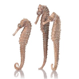 Набор из 3-х морских коньков (Seahorse 3 pack natural)