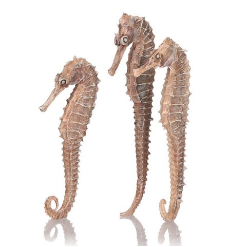 Набор из 3-х морских коньков (Seahorse 3 pack natural)