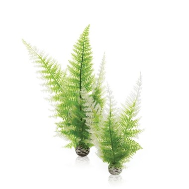 Комплект Зимний папоротник (Aquatic winter fern set 2)