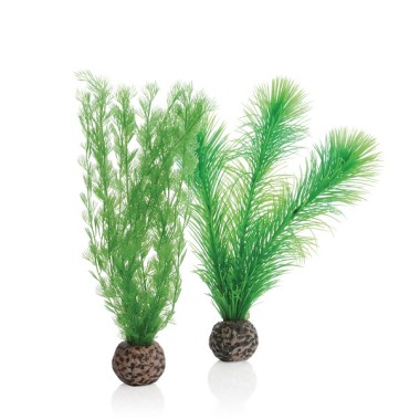 Низкие ветки папоротника (Feather fern set small green)