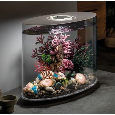 Готовый аквариум Biorb Set 1