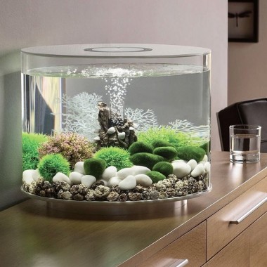 Готовый аквариум Biorb Set 10