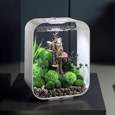 Готовый аквариум Biorb Set 20