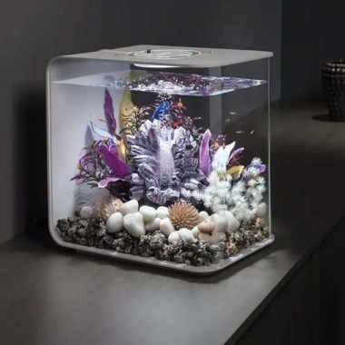 Готовый аквариум Biorb Set 7