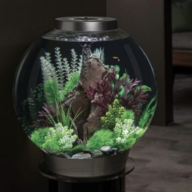 Готовый аквариум Biorb Set 8