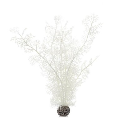 Белый морской веер высокий (Sea fan large white)