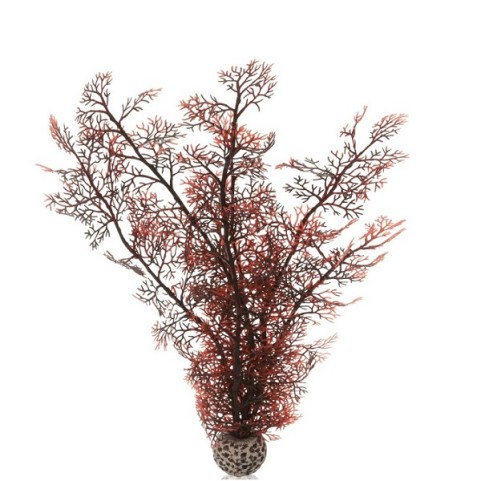 Малиновый морской веер высокий (Sea fan large crimson)