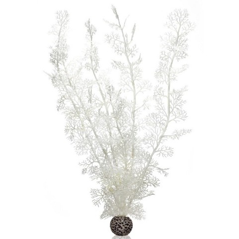 Белый морской веер очень высокий (Sea fan extra large white)