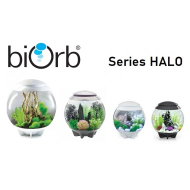 Biorb HALO