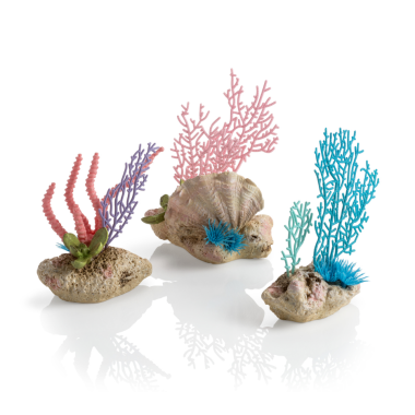 Набор декор. элементов "Коралловый веер и ракушки", Coral fans & shells set NEW
