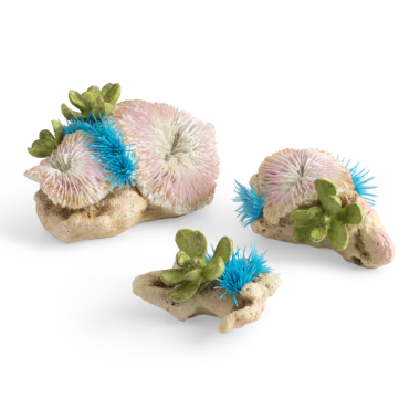 Набор декор. элементов "Кораллы и пуговичные полипы", Plate corals & button polyp set NEW