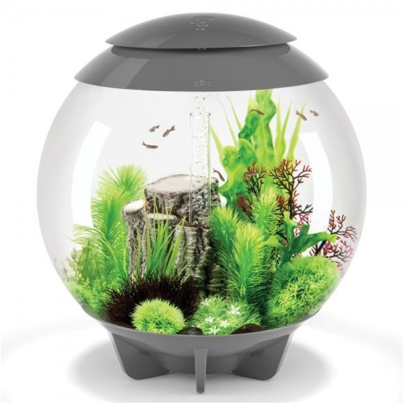 круглый аквариум с подсветкой