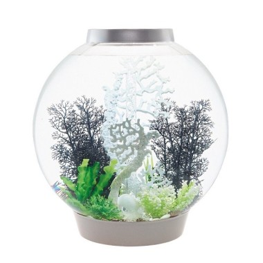 Коралл веер белый (Fan coral ornament white)