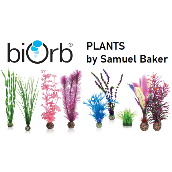 Растения BIORB
